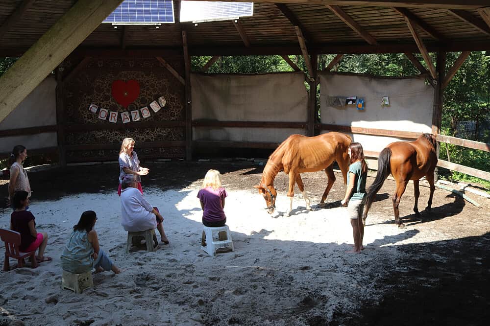 3 Day Horse Therapy Weekend in Czechia 2