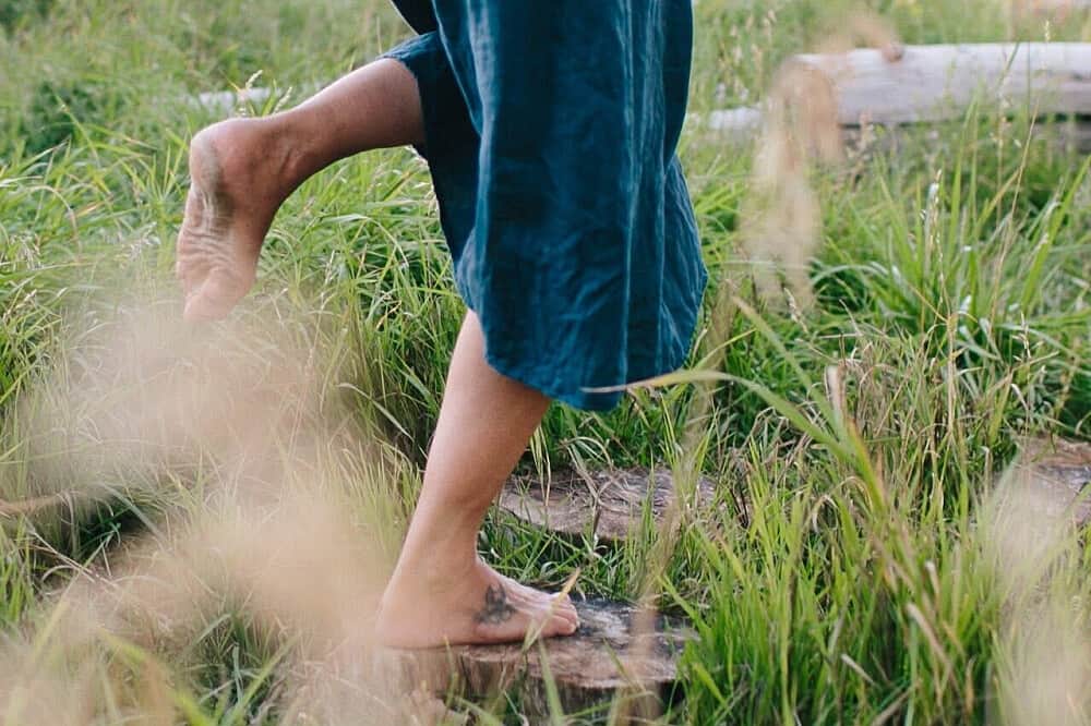 3 Day Sacred Bee Medicine Retreat in Colorado, US 3