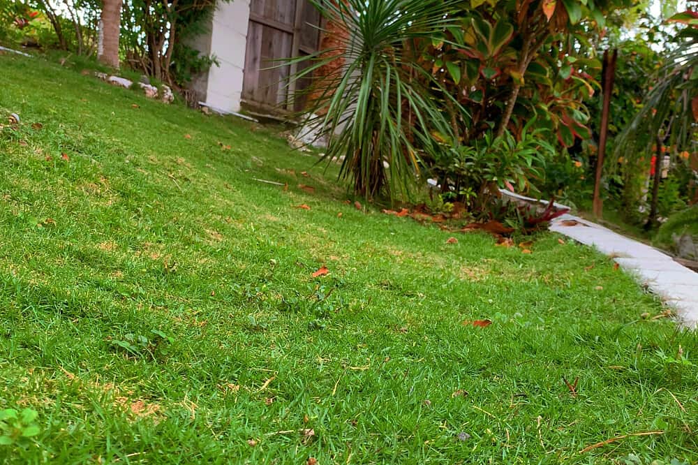 7 Day Star Arcanum Holistic Yoga Retreat in Port Antonio, Jamaica 5