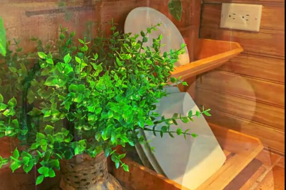 7 Day Star Arcanum Holistic Yoga Retreat in Port Antonio, Jamaica 6