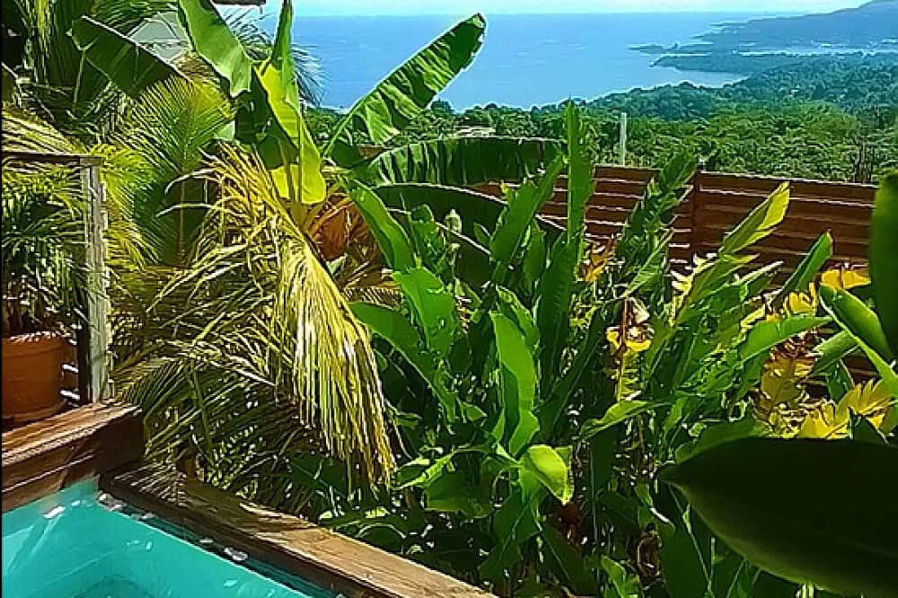 7 Day Star Arcanum Holistic Yoga Retreat in Port Antonio, Jamaica 2