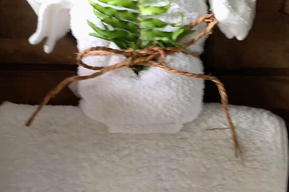 7 Day Star Arcanum Holistic Yoga Retreat in Port Antonio, Jamaica 3