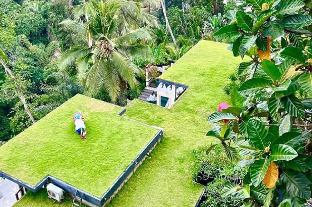 8 Day Follow Your Light Retreat in Bali, Indonesia 1