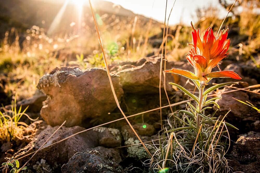 5 Day Women's Therapeutic Joy Retreat in Santa Fe, NM 7