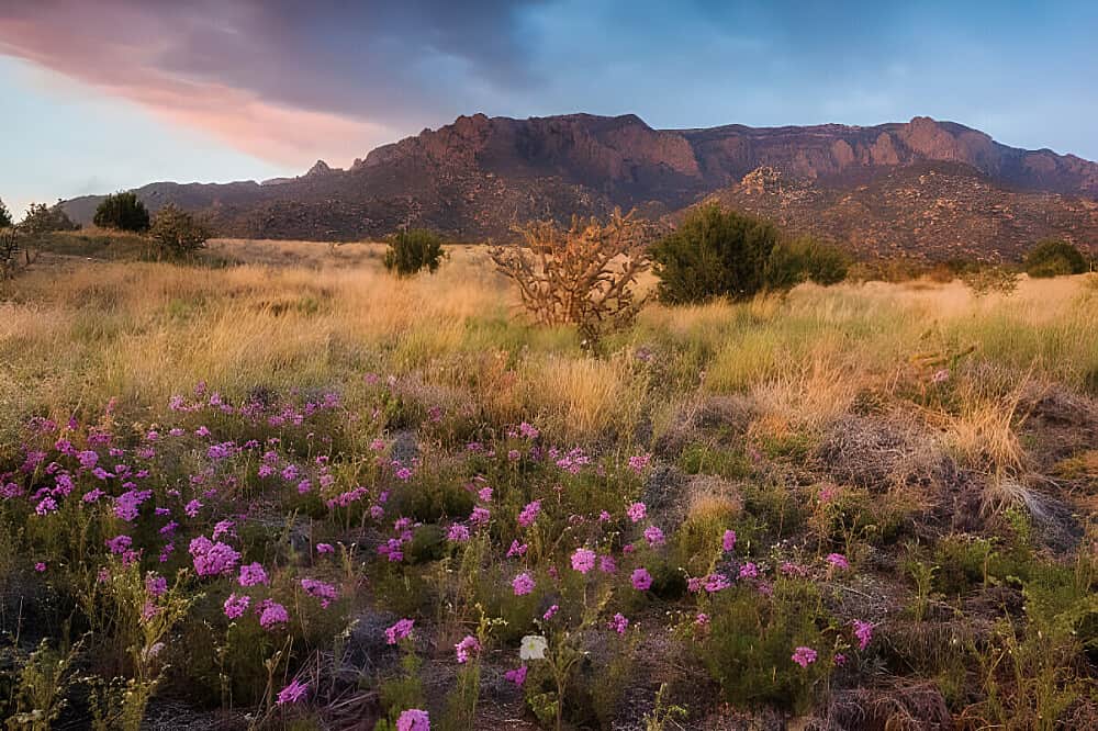 5 Day Women's Therapeutic Joy Retreat in Santa Fe, NM 2