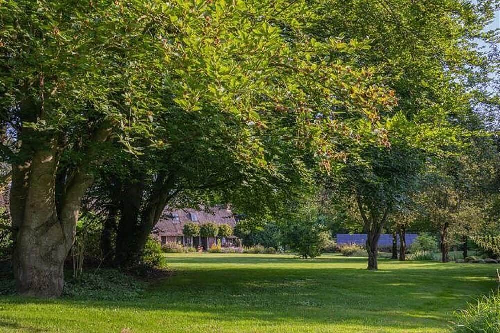 4 Day Ayahuasca & San Pedro Healing Retreat in the Netherlands 4