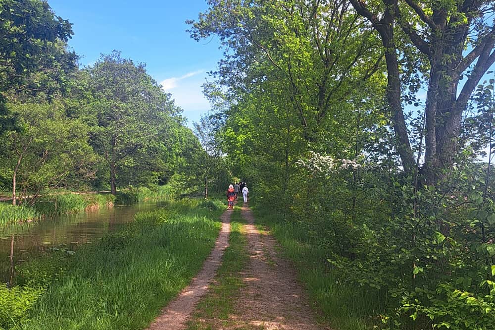 4 Day Ayahuasca & San Pedro Healing Retreat in the Netherlands 6