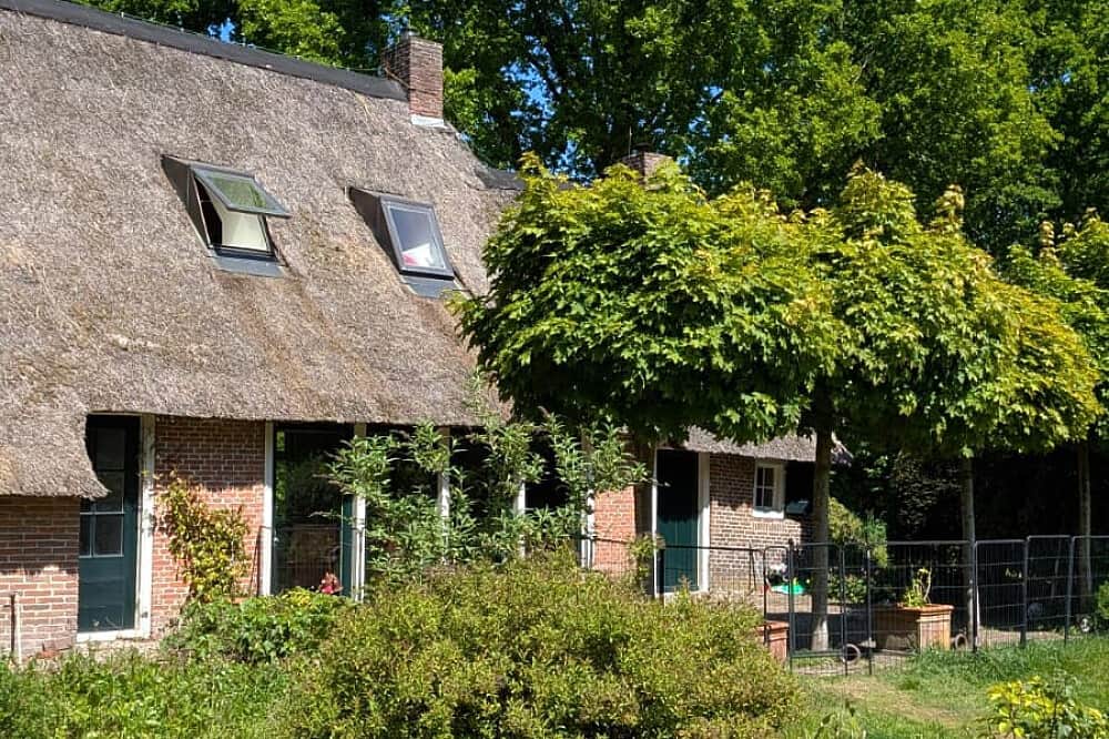 4 Day Ayahuasca & San Pedro Healing Retreat in the Netherlands 8