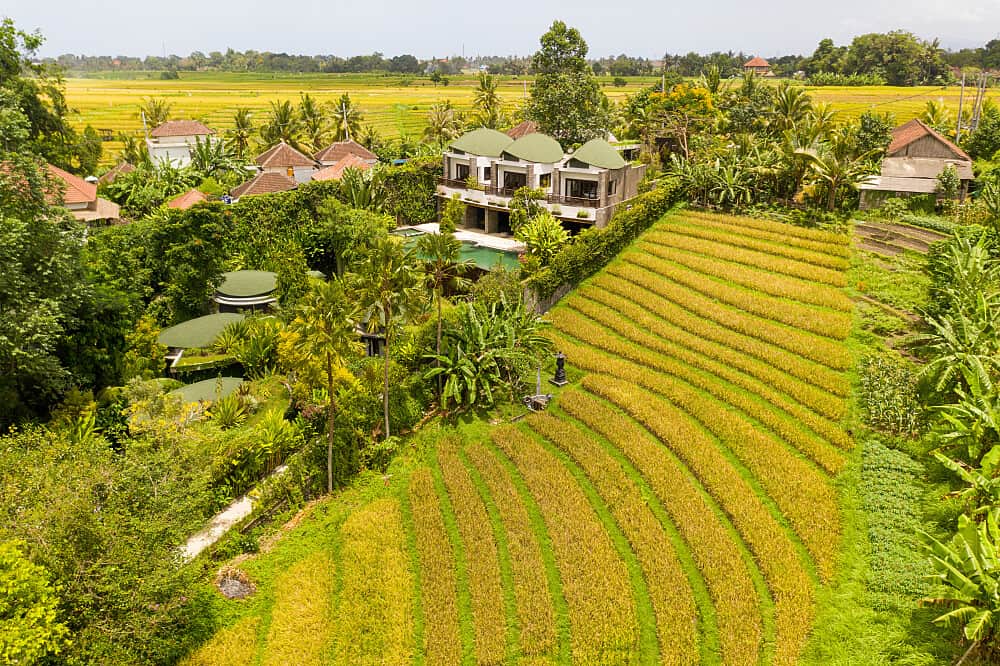 7 Day Eco Luxury Nature and Adventure Retreat in Bali 2