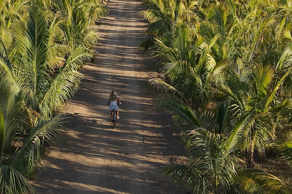 5 Day Luxury Wise Woman Healing Retreat in El Pescadero, Mexico 3