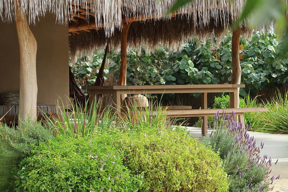 5 Day Luxury Wise Woman Healing Retreat in El Pescadero, Mexico 2