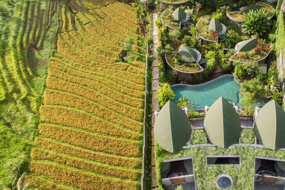 14 Day Eco-Luxury Nature and Adventure Retreat in Bali, Indonesia 5