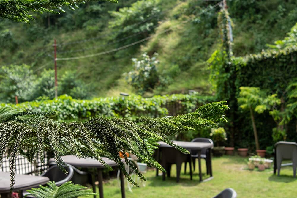 4 Day Self-Love: Reconnect with Yourself in Rishikesh, India 3