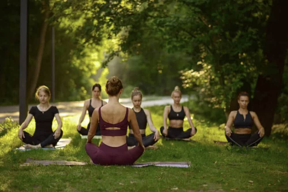 3 Day Intuitive & Free: Equine Embodied Writing Retreat, NH, US 3