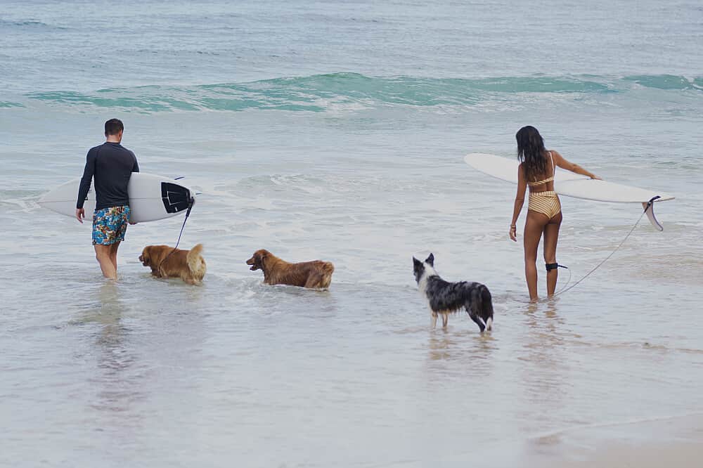 6 Day Fitness Retreat in Siargao Island, Philippines 7