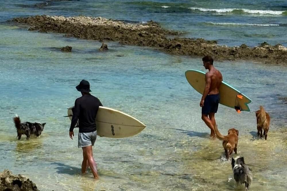 6 Day Fitness Retreat in Siargao Island, Philippines 4