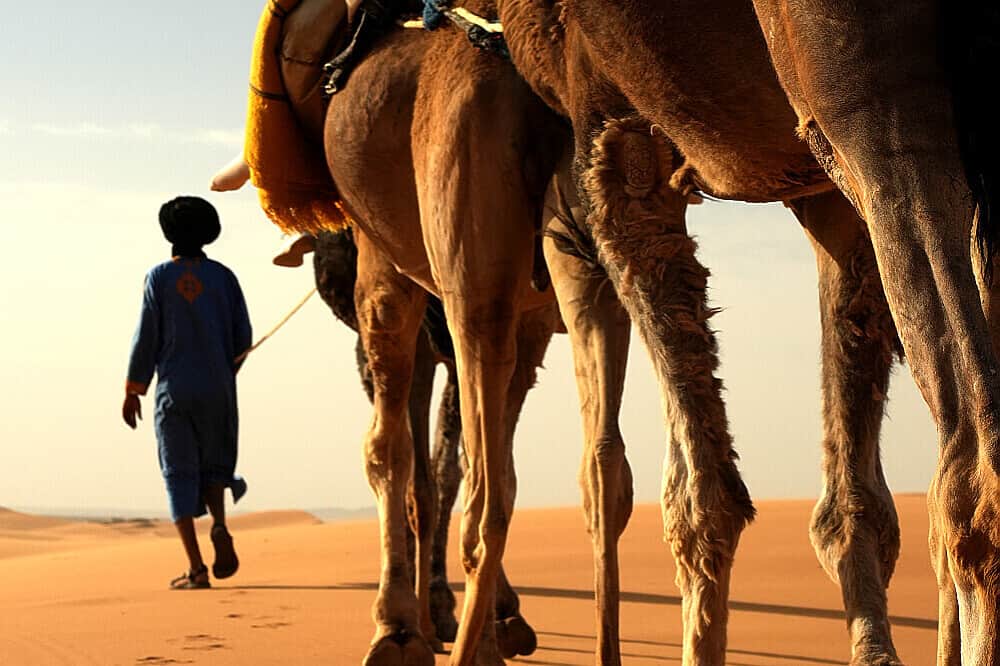 4 Day Women's Desert Retreat: Yoga & Nomadic Culture in Morocco 7