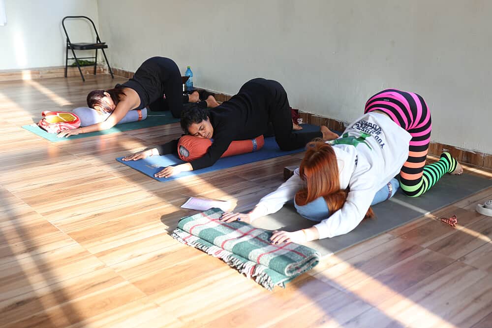 6 Day 85 Hr Pre-Natal and Post Natal Yoga Teacher Training, India 3