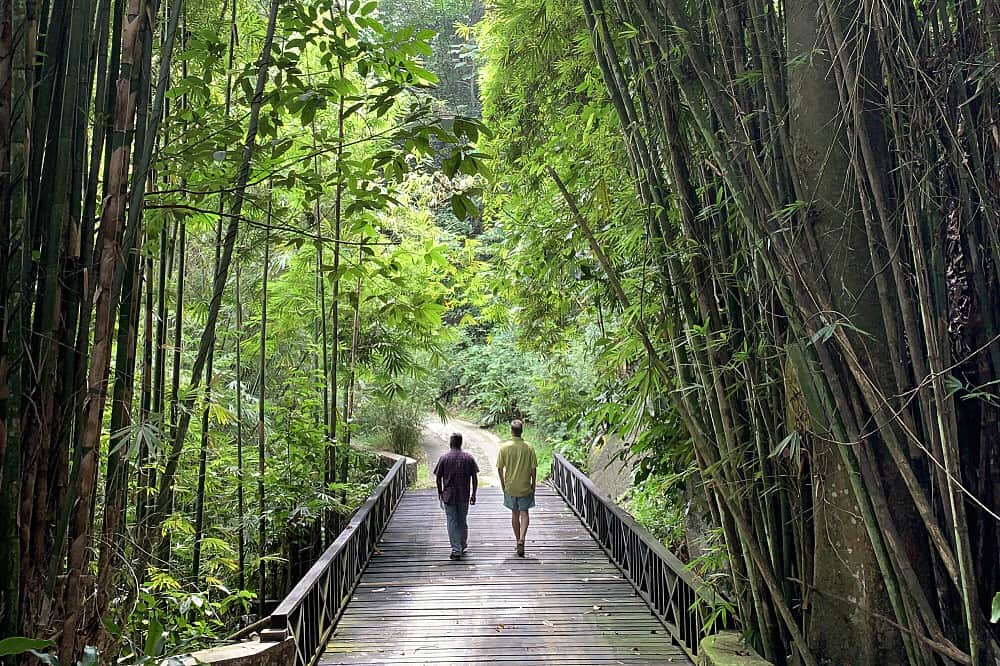 8 Days on Pangkor Island: Creative Writing Retreat in Malaysia 2