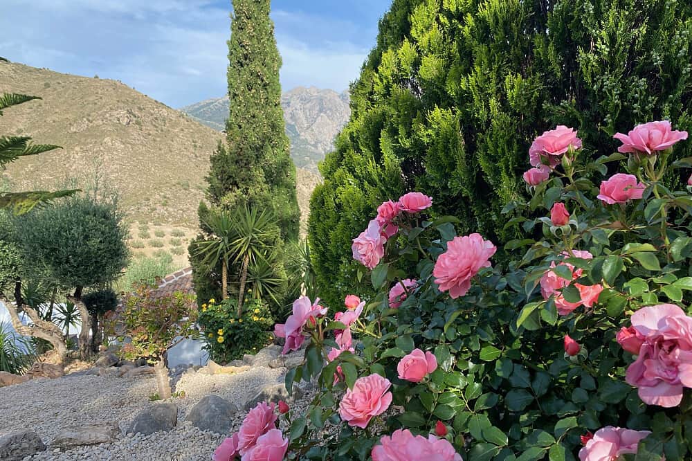 5 Day Wellness & Relaxation Retreat in Malaga, Spain 3