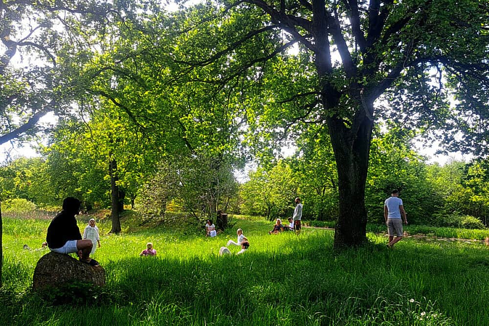 3 Day Ayahuasca Retreat For Inner Clarity & Peace, Netherlands 1