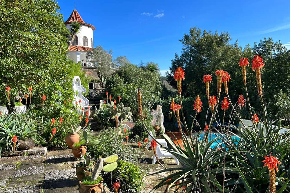 5 Day Yoga Retreat for All Levels in Portugal 4