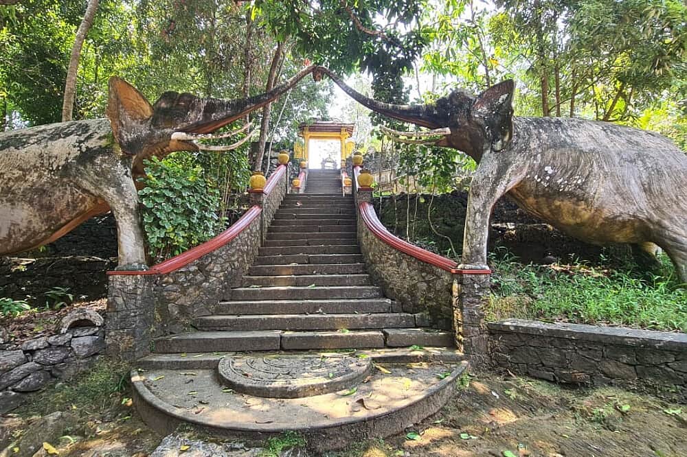 7 Day Deepen Your Practice Yoga Immersion Retreat, Sri Lanka 6