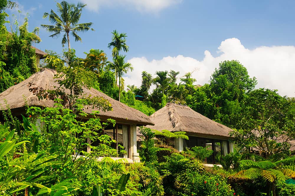 7 Day Best Value Yoga & Meditation retreat in Bali 4