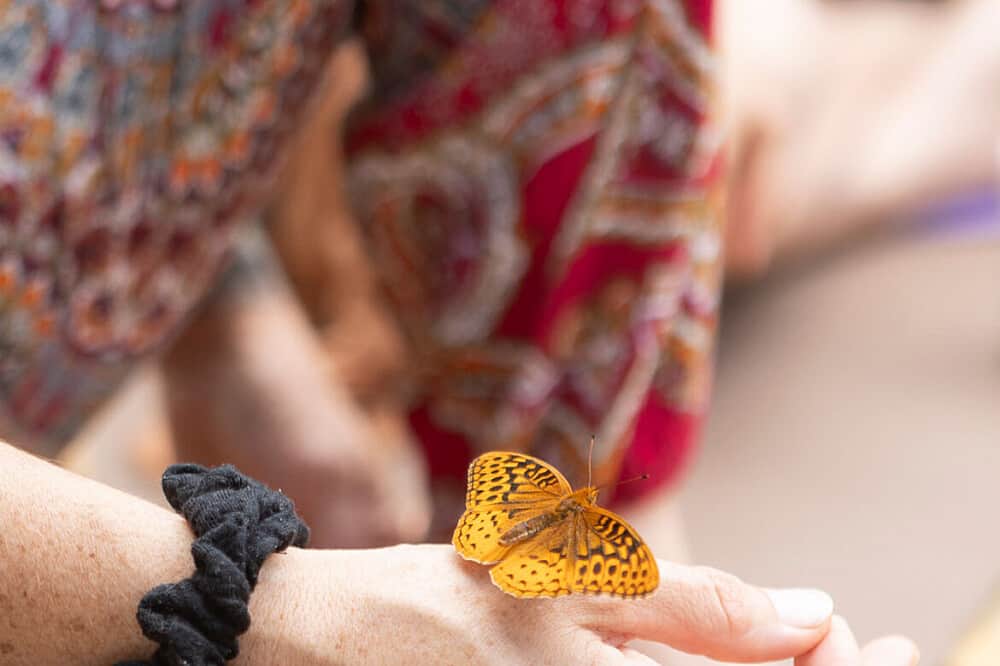 5 Day Harvest Your Authenticity: For Mothers & Daughters. NC, USA 4