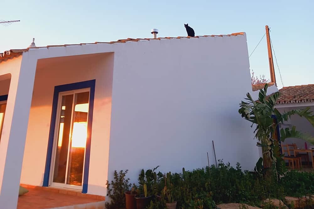 8 Day Kundalini Activation & Gentle Psychedelic Retreat, Portugal 7