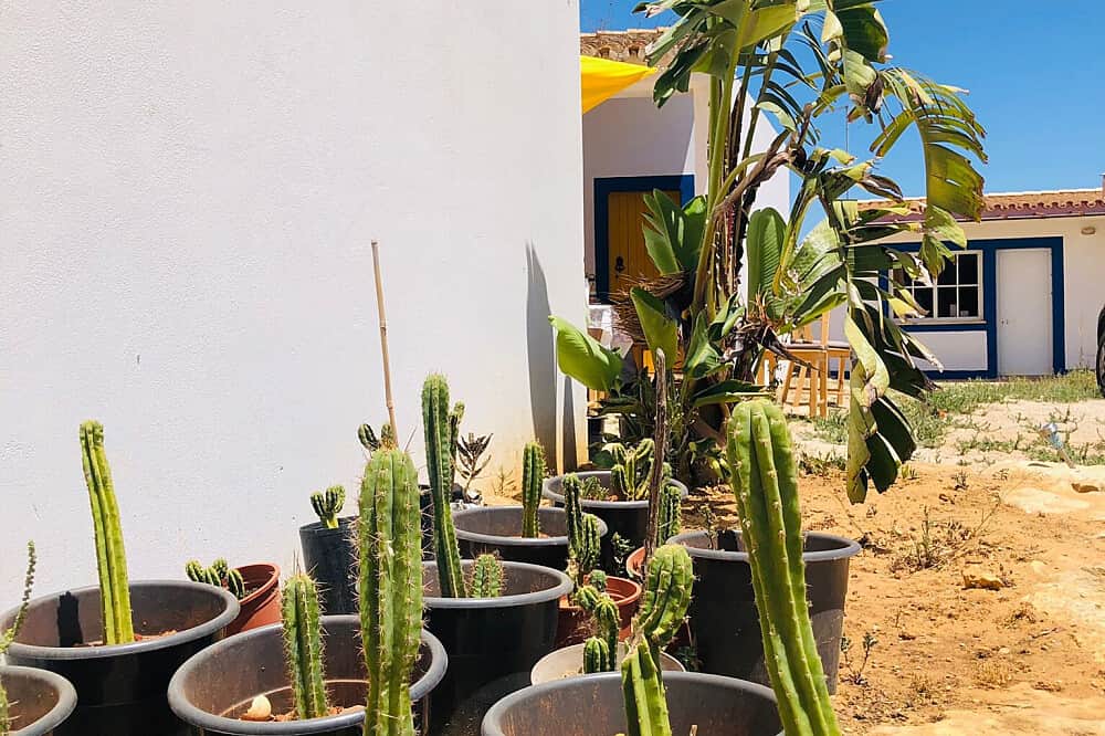 8 Day Kundalini Activation & Gentle Psychedelic Retreat, Portugal 3