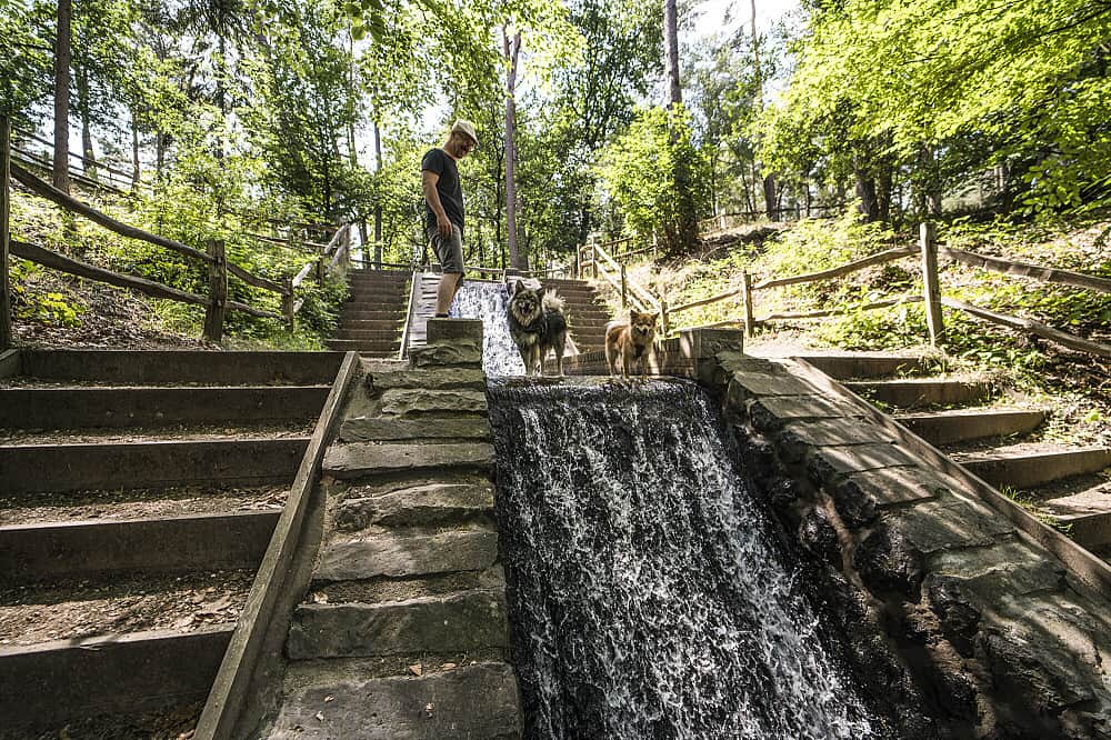 3 Day Tangerine Retreat: Legal Psilocybin Retreat in Netherlands 6