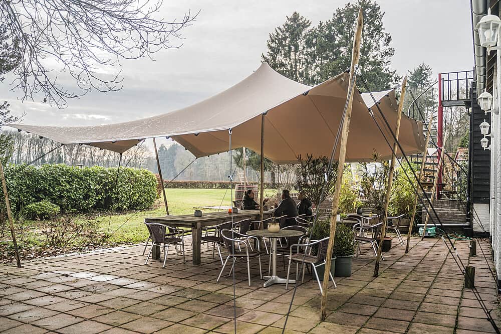 3 Day Tangerine Retreat: Legal Psilocybin Retreat in Netherlands 5