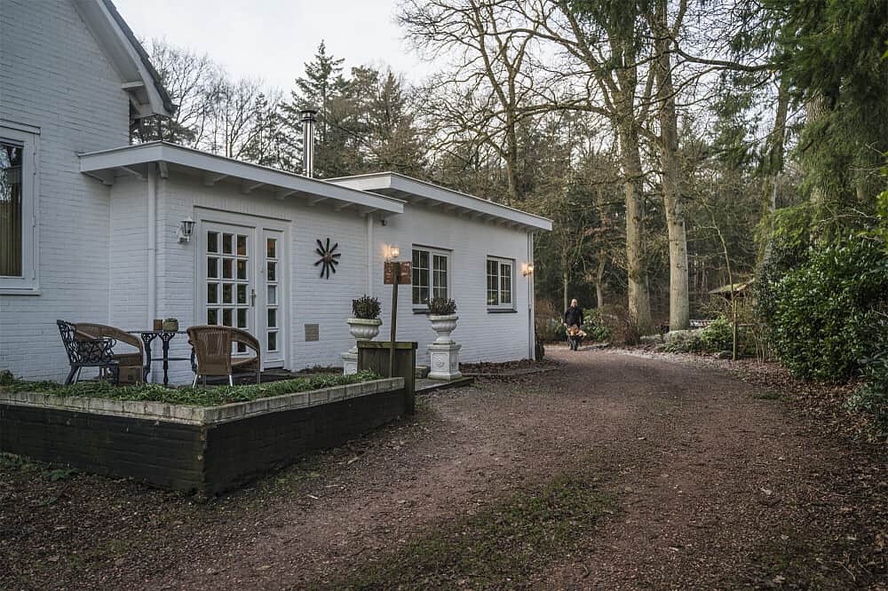 3 Day Tangerine Retreat: Legal Psilocybin Retreat in Netherlands 4