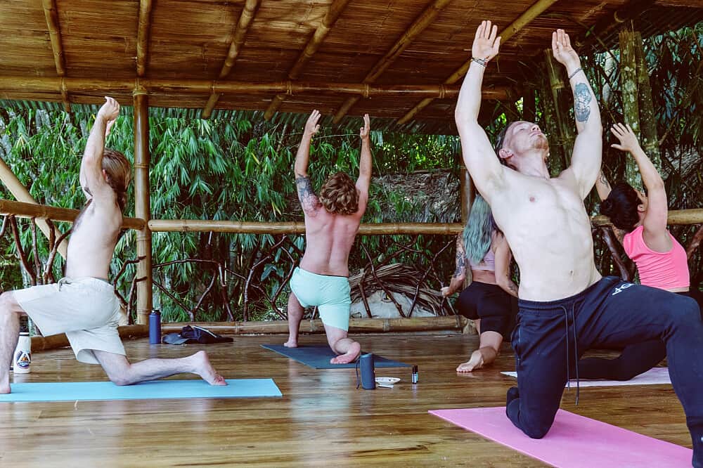 10 Day New Year Mushroom Retreat Mindo, Ecuador 2