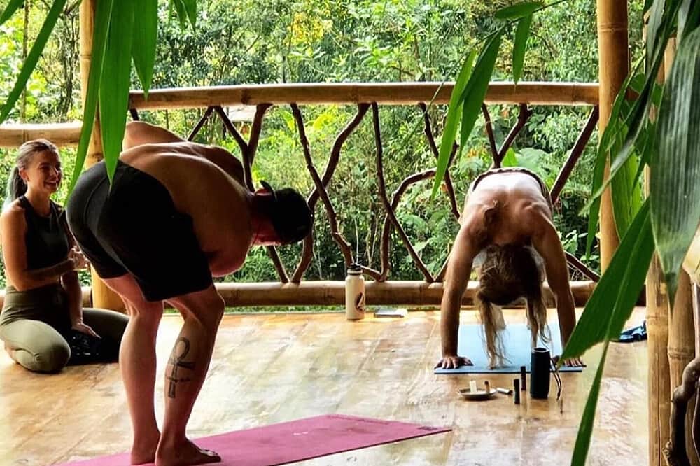 10 Day New Year Mushroom Retreat Mindo, Ecuador 4