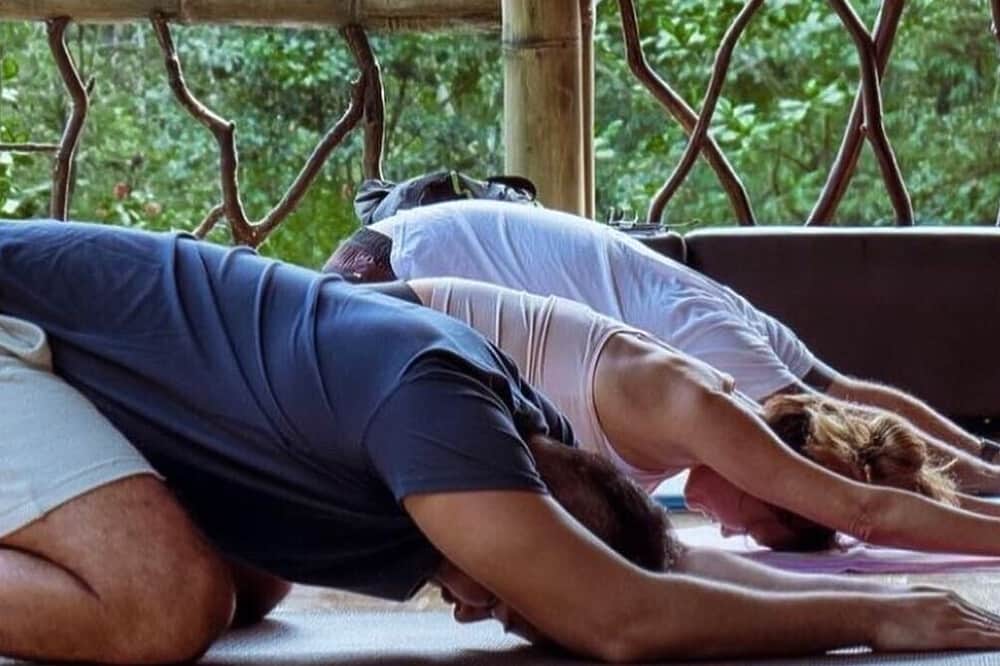 10 Day New Year Mushroom Retreat Mindo, Ecuador 1