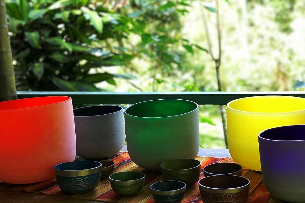 10 Day New Year Mushroom Retreat Mindo, Ecuador 7