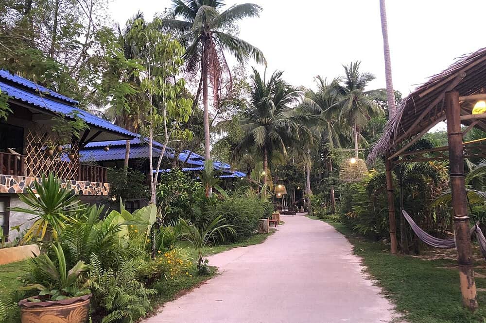 11 Day 100 Hour Yoga Teacher Training in , Bali. Indonesia 5