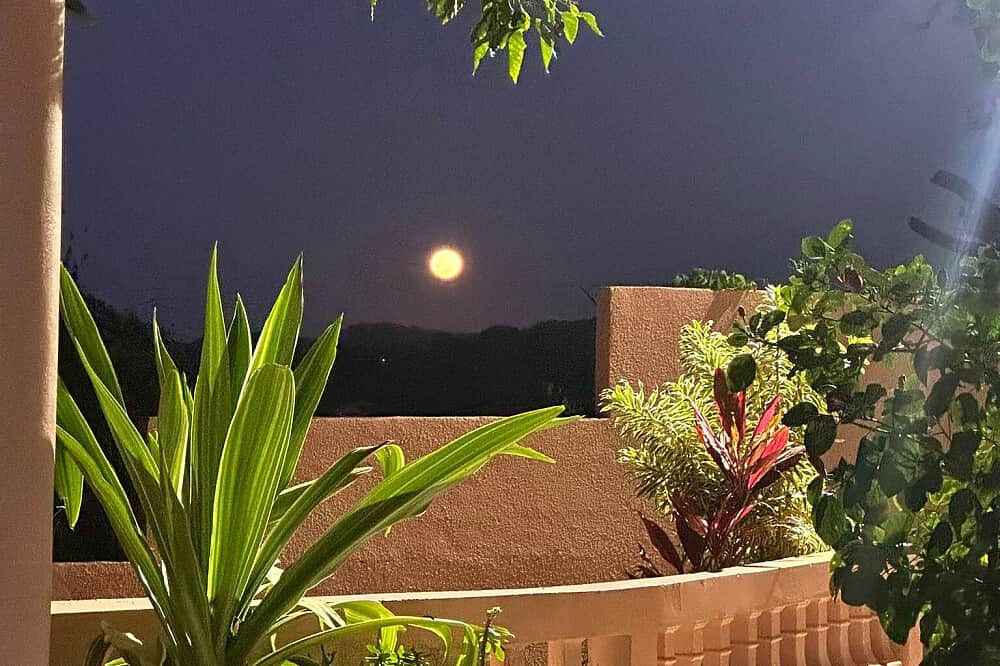 7 Day All-Inclusive Guided Psilocybin Retreat in Jamaica 8