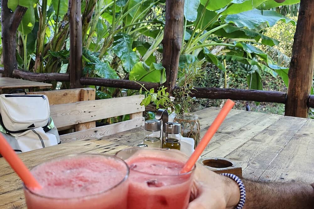 28 Day Transformation & Detox Retreat, Boca Raton Florida 5