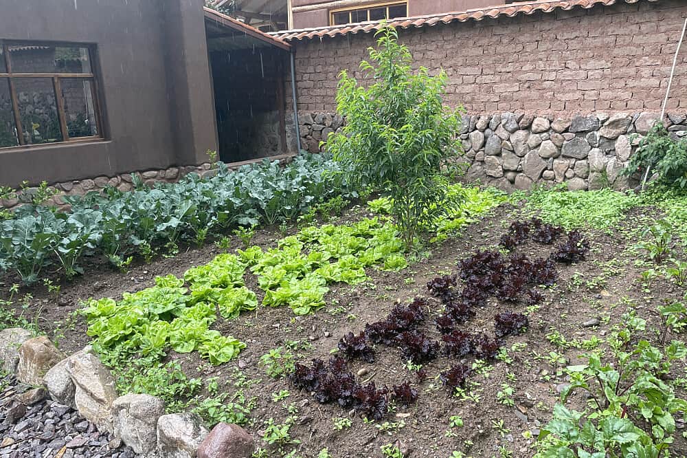 5 Day Ayahuasca Retreat in Calca, Peru 6