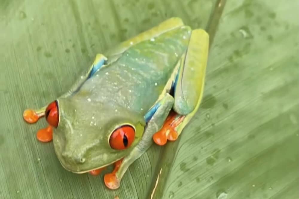 7 Day Private Burnout Retreat in Costa Rica 6