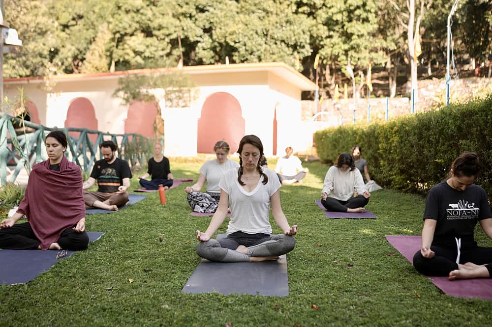 15 Day The Art of Yoga Alignment Program in Rishikesh, India 3