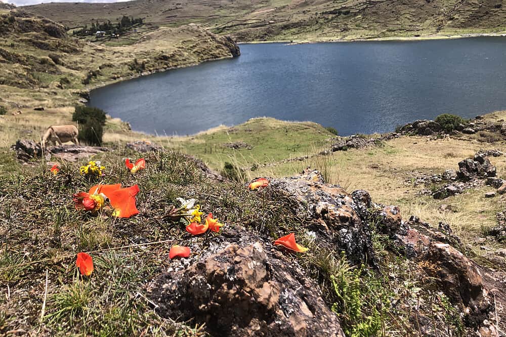 9 Day The Loving Ground: A Private Couple's Retreat in Peru 8
