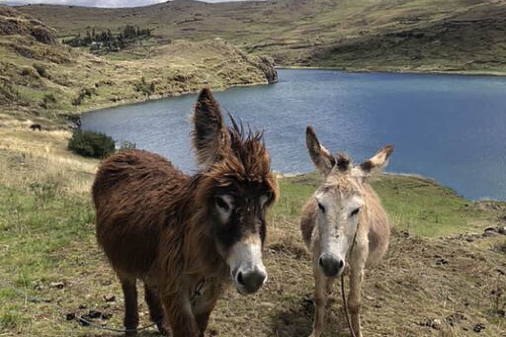 9 Day The Loving Ground: A Private Couple's Retreat in Peru 7