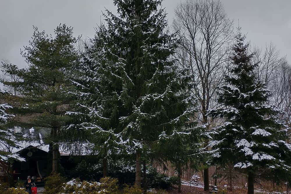 4 Day Vocal Communication Intensive, Catskill Mountains, NY, USA 1