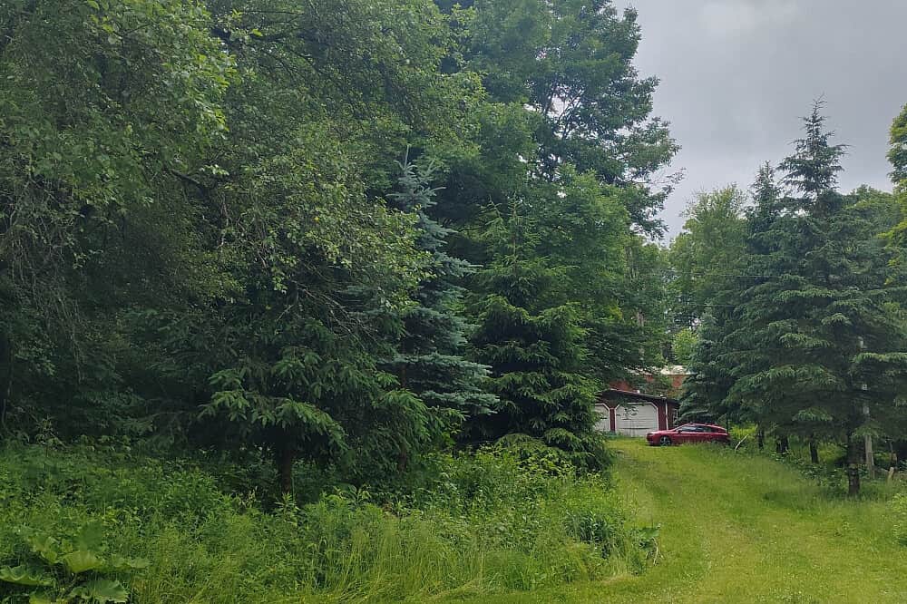 4 Day Vocal Communication Intensive, Catskill Mountains, NY, USA 3