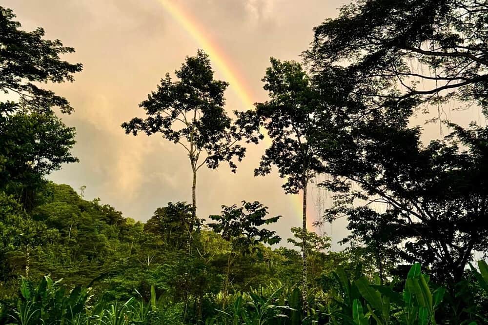 7 Day Sound Healing & Jungle Creative Retreat in Costa Rica 3