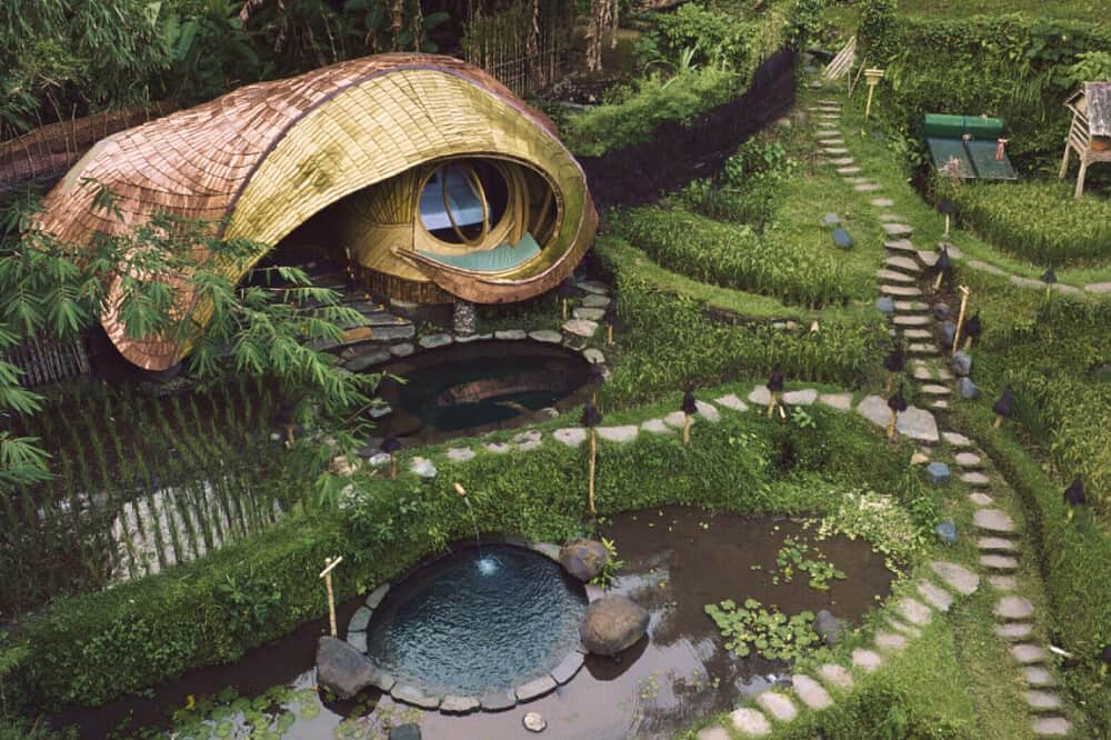 8 Day Doctor-Led Nervous System & Trauma Healing Retreat in Bali 6